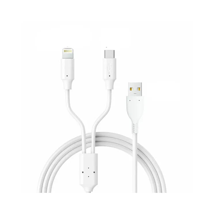 2 in 1 Charging Cable with Type C and Lightning (iPhone) Compatibility