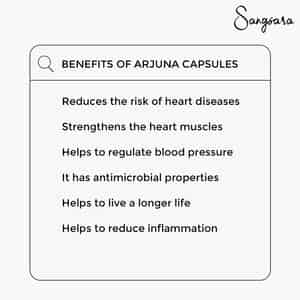 Arjuna Supplement (60 Capsules Each Pack)