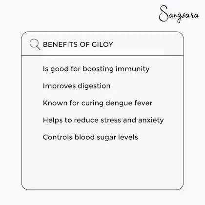 Giloy Ayurvedic Immunity Booster (60 Capsules Each Pack)