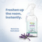 Air Freshener Lavender and Neem - 300ml