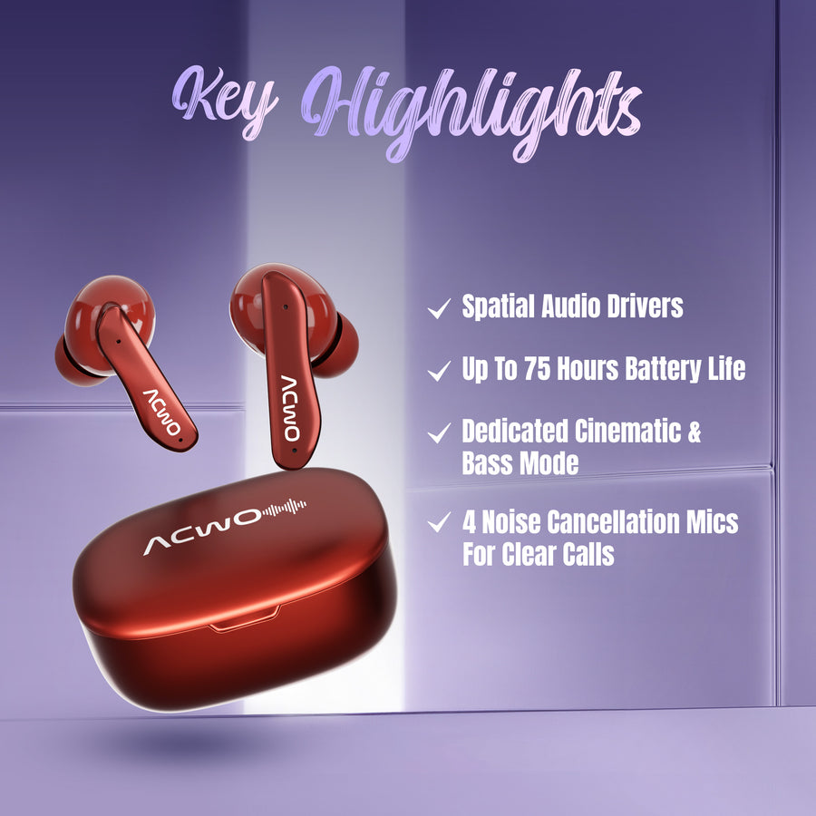 DwOTS 111 True Wireless Earbuds