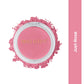 Professional Blusher (4g)