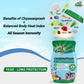 Chandraprash Immunity Booster (900g)