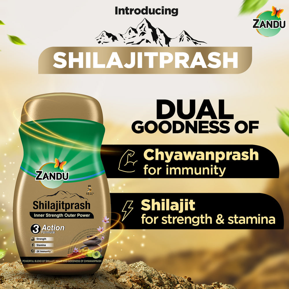 Shilajitprash Strength and Immunity Booster (900g)