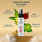 mexico key fragrance notes