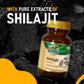 Shilajit Capsules (60 Capsules) with FREE Vigorex Max (20 Capsules)