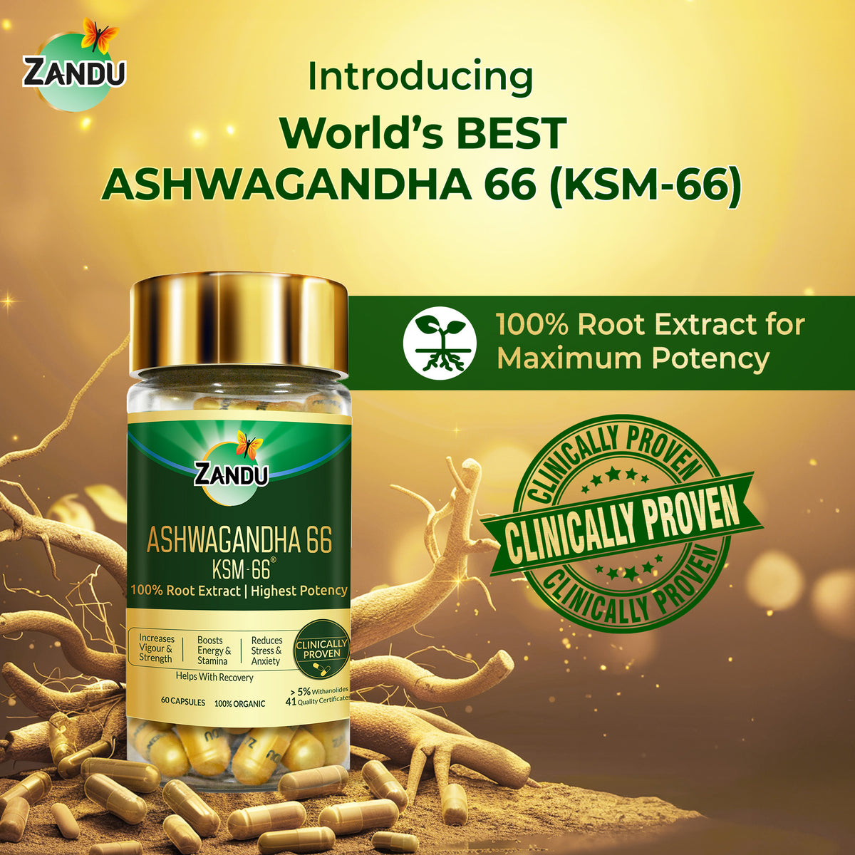 Ashwagandha KSM (60 Capsules)