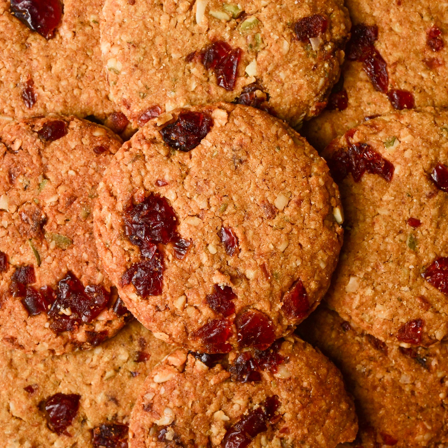 Cranberry Oats Cookies (130g x 2)