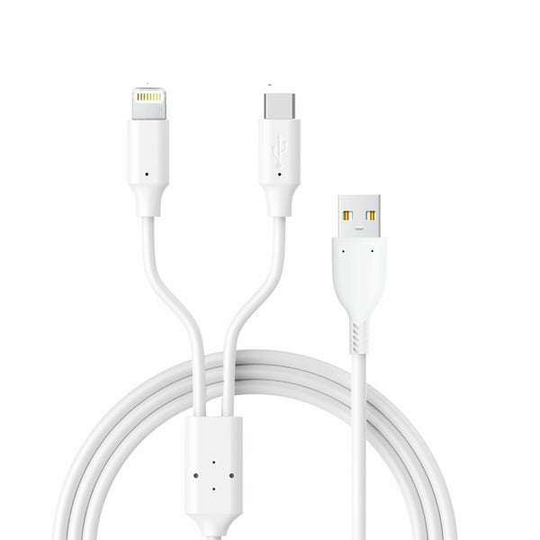 2 in 1 Charging Cable with Type C and Lightning (iPhone) Compatibility