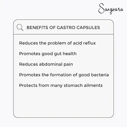 Gastro Supplement (60 Capsules Each Pack)