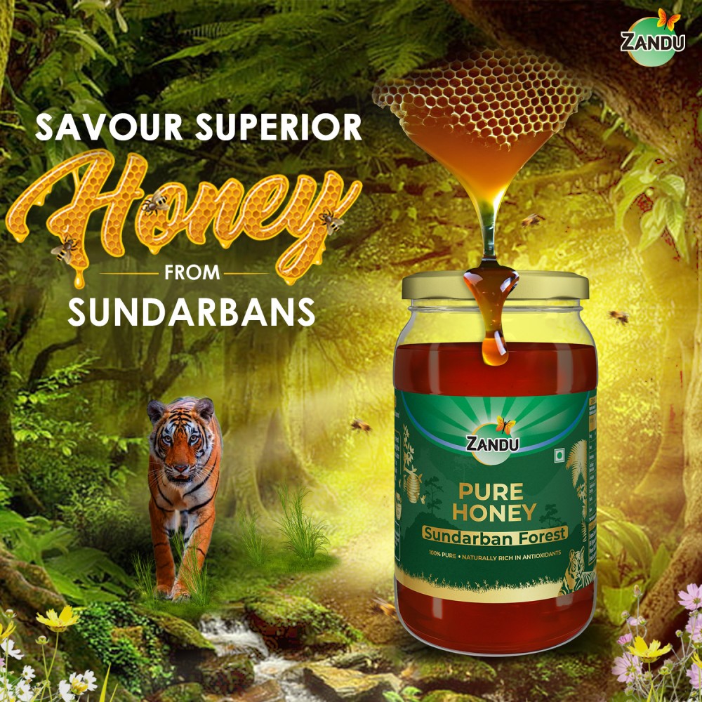 Sundarban Pure Honey (500g)