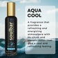 Royal Musk and Aqua Cool Car Perfume Spray (80ml x 2)