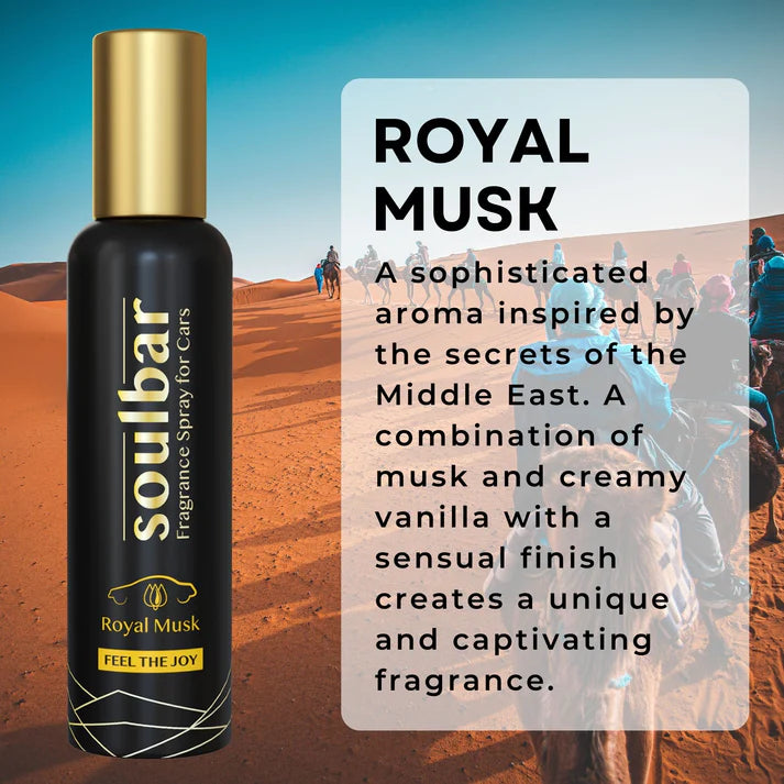 Royal Musk and Aqua Cool Car Perfume Spray (80ml x 2)